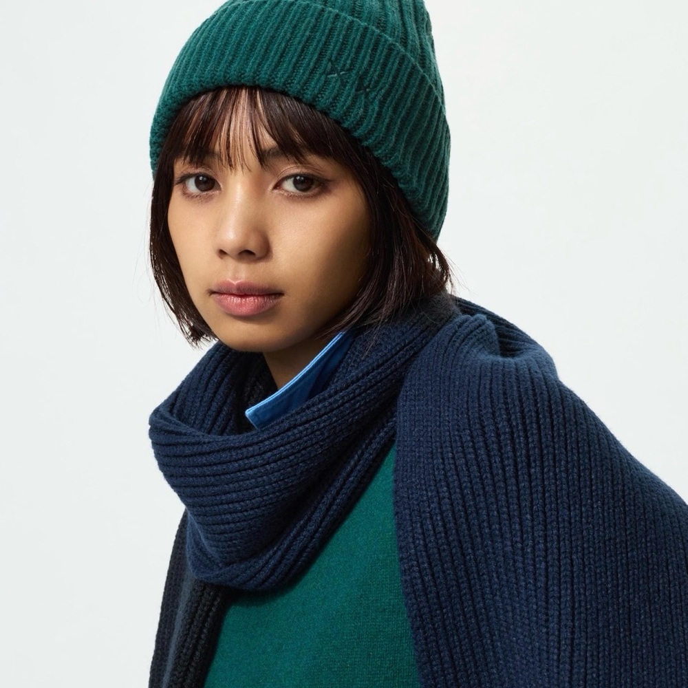 NWT Uniqlo KAWS Winter Ribbed Beanie